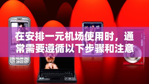 在安排一元机场使用时，通常需要遵循以下步骤和注意事项