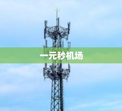 一元秒机场