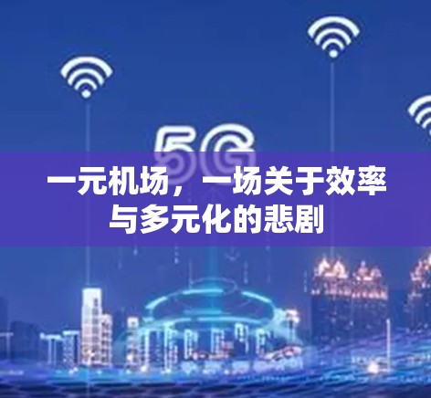 一元机场,一场关于效率与多元化的悲剧