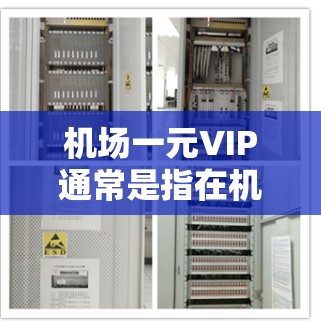 机场一元VIP通常是指在机场或机场内的高端服务,如贵宾卡、会员服务或特殊优惠活动。这些服务通常为高端旅客或会员提供额外的便利或价格折扣。机场可能会提供多种VIP服务,包括